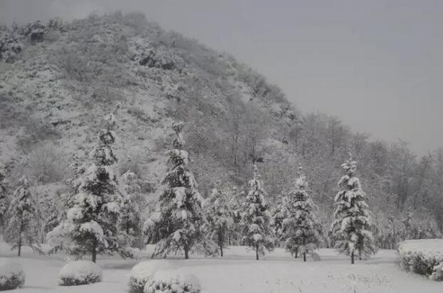 毛公积雪