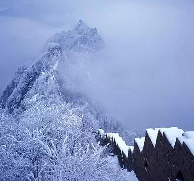 鸡笼梅雪