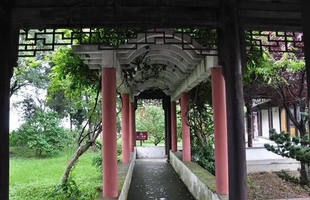 紫藤如发，随风飘扬