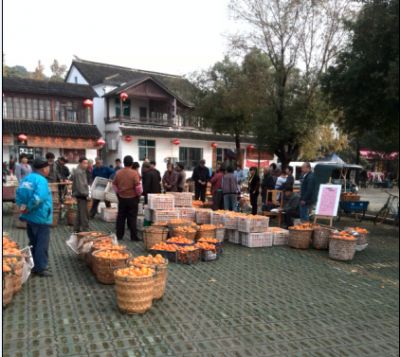 石公村帮助村民销售桔子