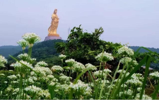 绮里古村