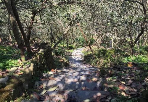 拾级而上的小路