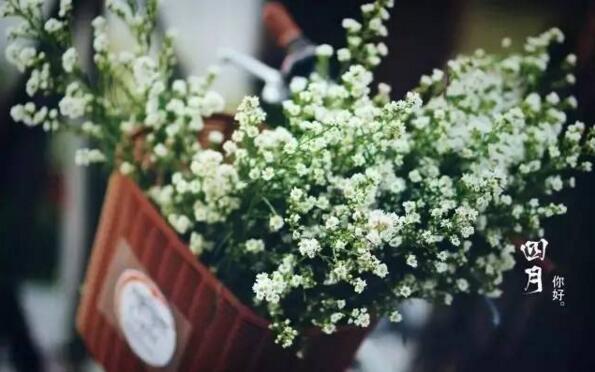 四月美好的一天