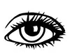 眼睛