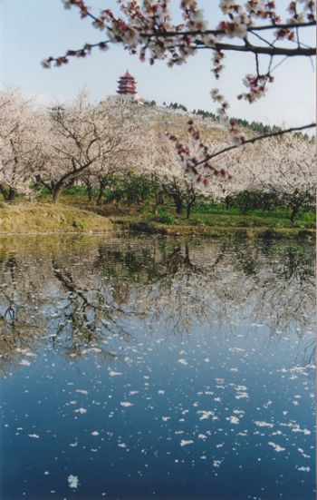 林屋梅海